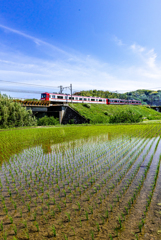 田植えの季節