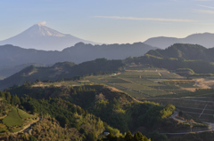 静岡県清水区吉原の朝景