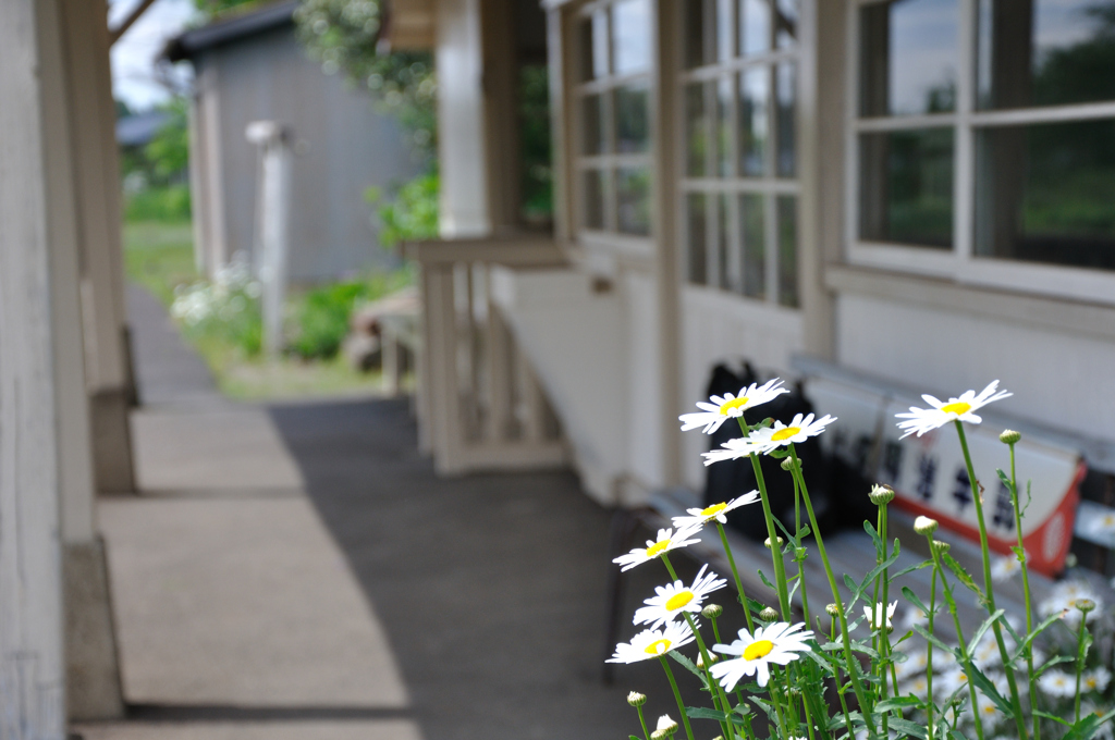 駅に咲く花