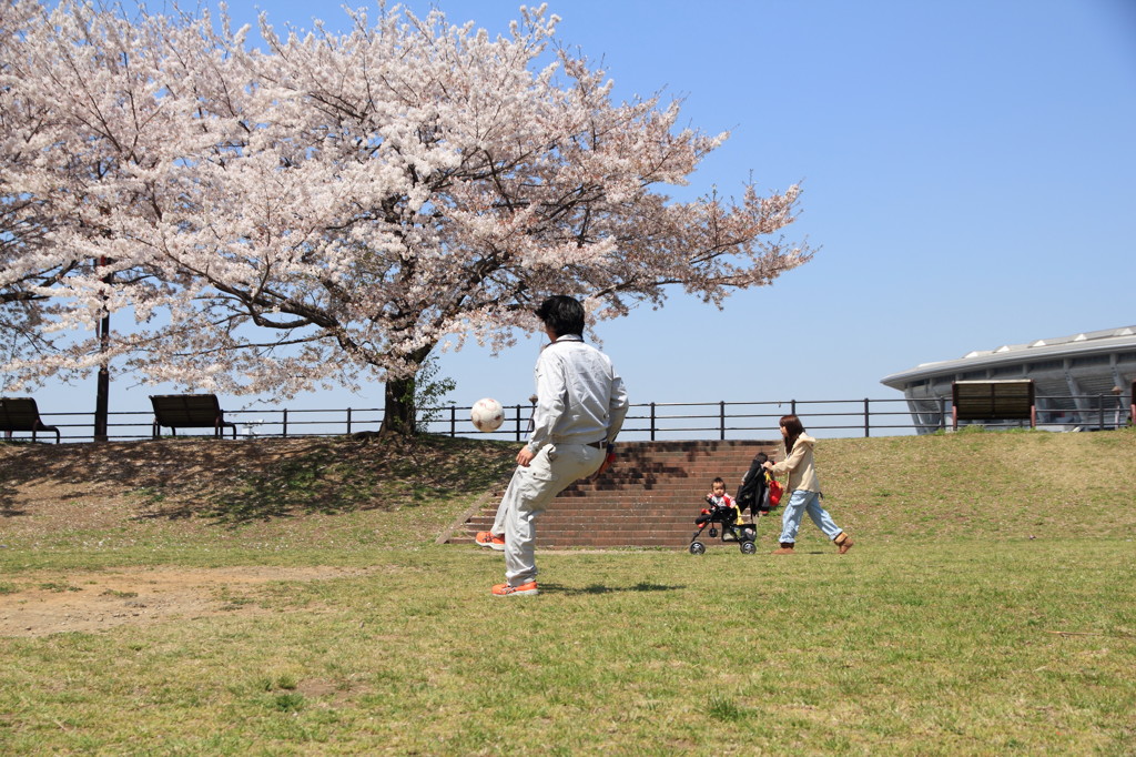 さくら香る日