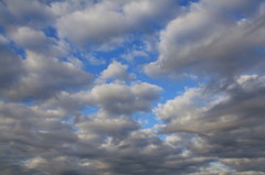 躍動感ある雲