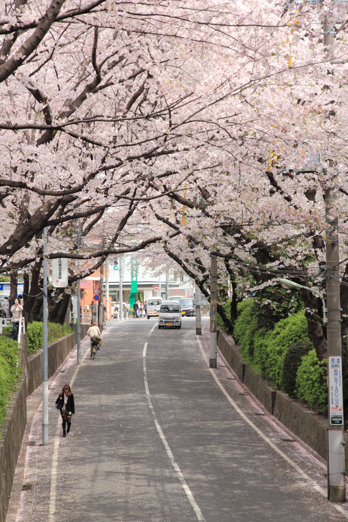 桜坂１