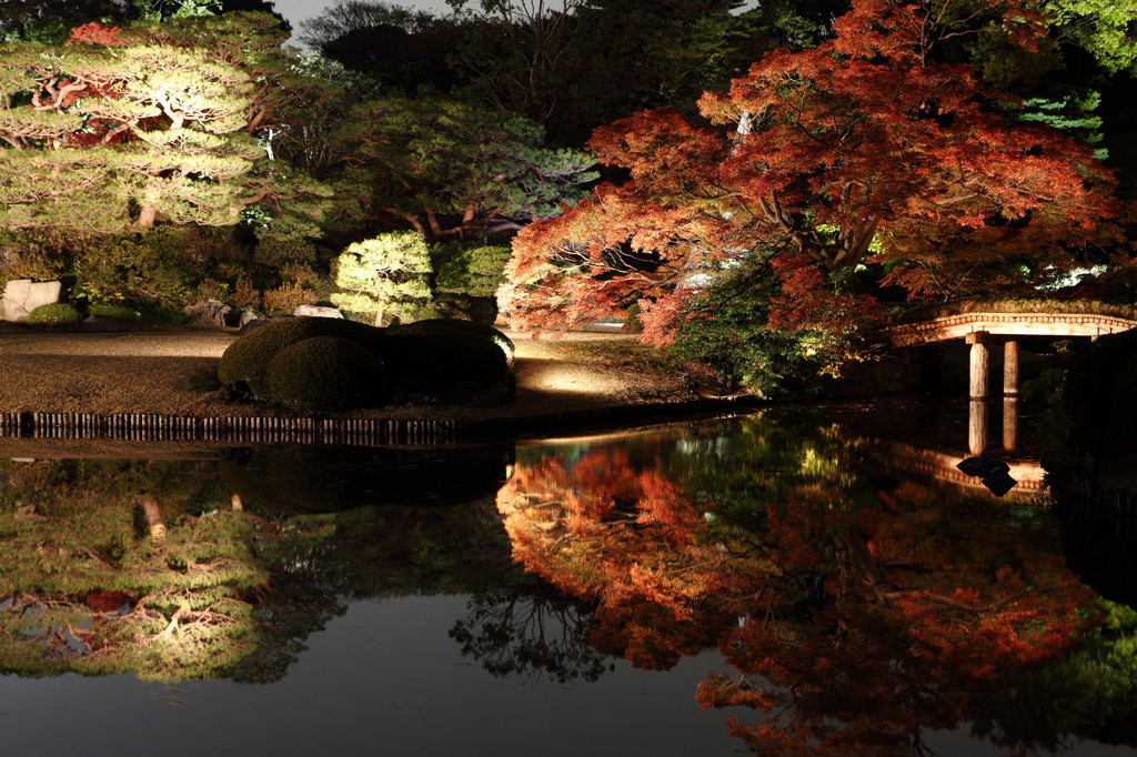 緑と水の魔性