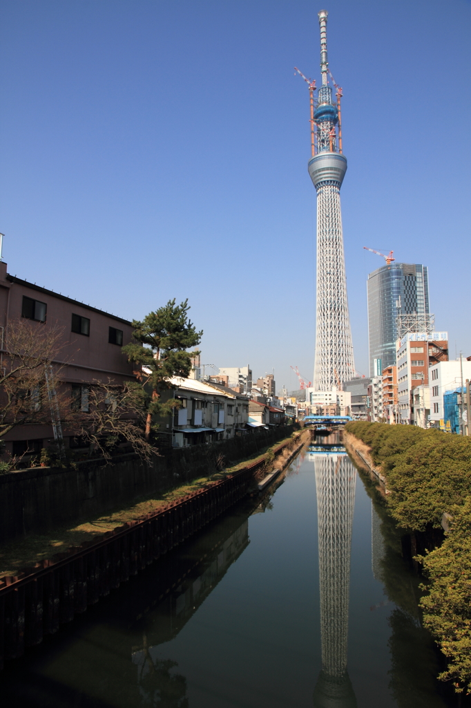 東京スカイツリー