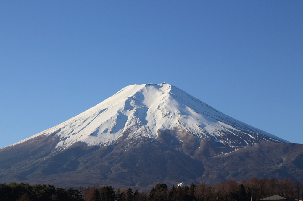 朝富士