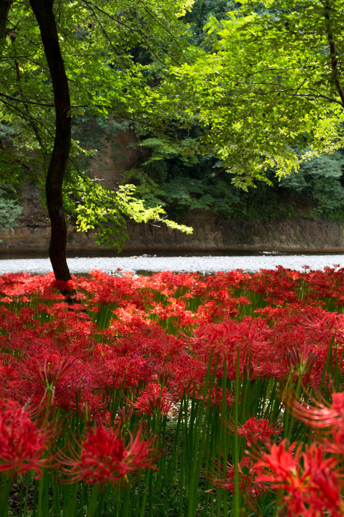 目の前の風景