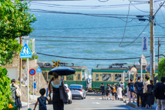 Summer scene