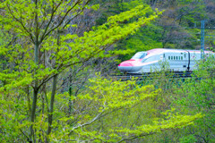 新緑の峠を越える