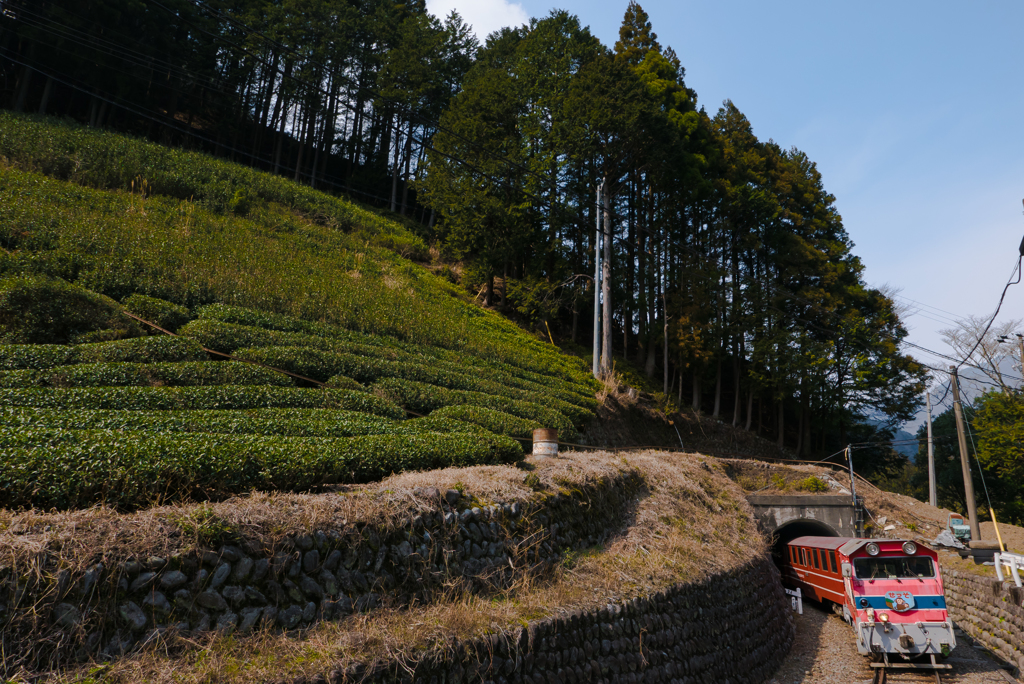 トンネル越えて