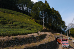 トンネル越えて