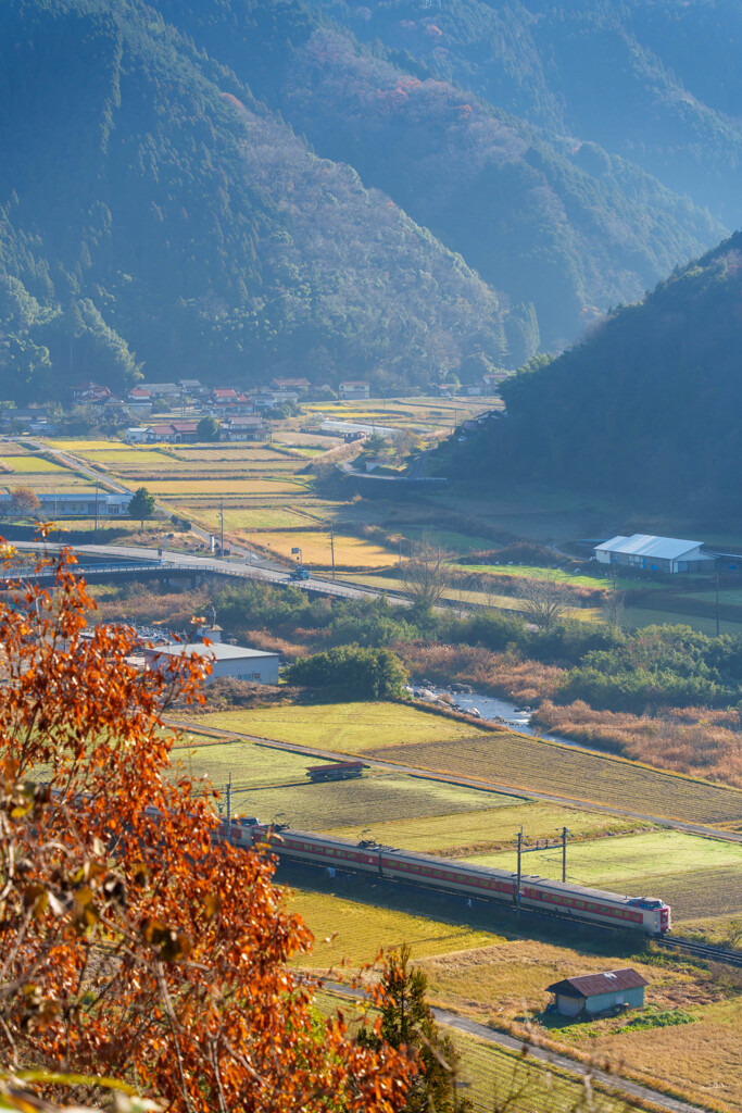 晩秋山里