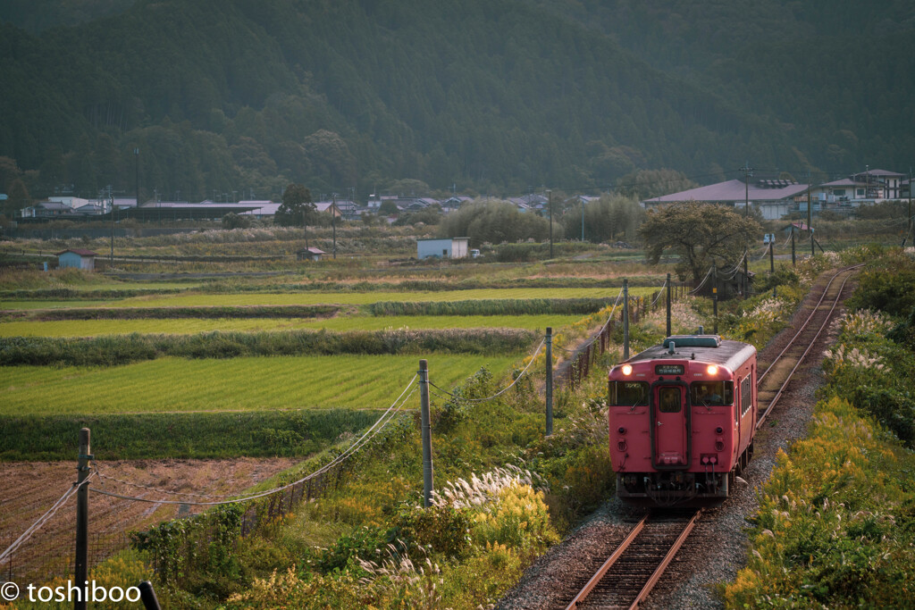 但馬路初秋