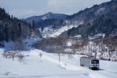 春前小路