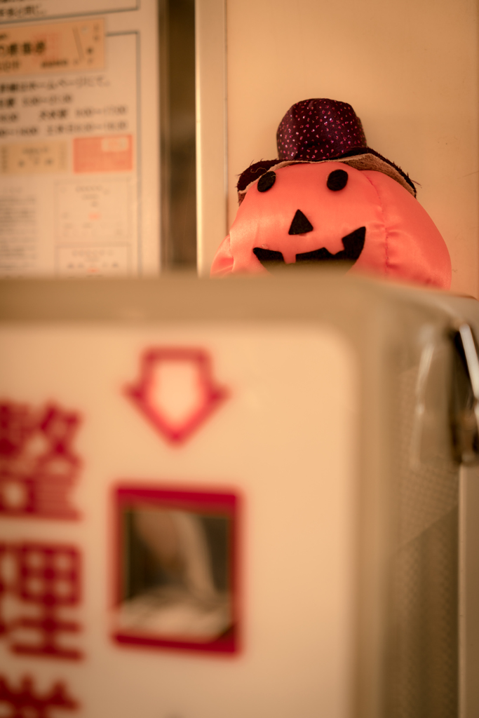 彷徨うかぼちゃⅢ
