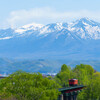 大雪山遥か