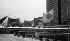 National flag