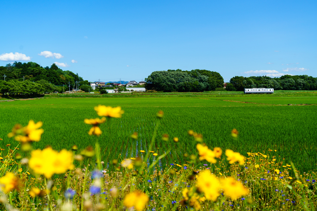 初夏の陽気に誘われて