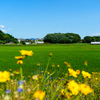 初夏の陽気に誘われて
