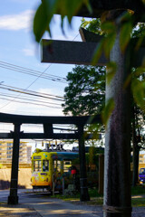 神道を往く