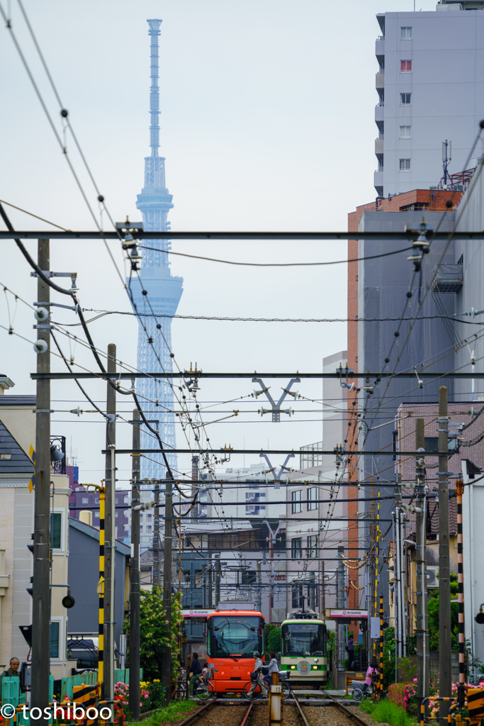 スカイツリーが見える町