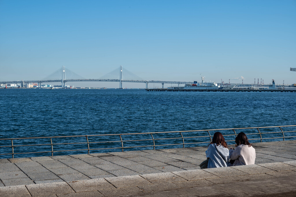 Bay side snap 1/6