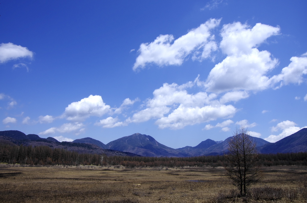 奥日光20120505_005_DA18-135