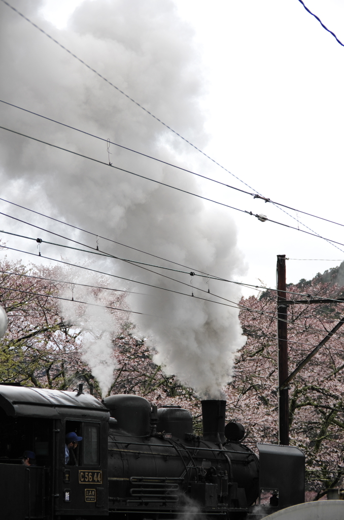 大井川鉄道、雨のち晴れ08
