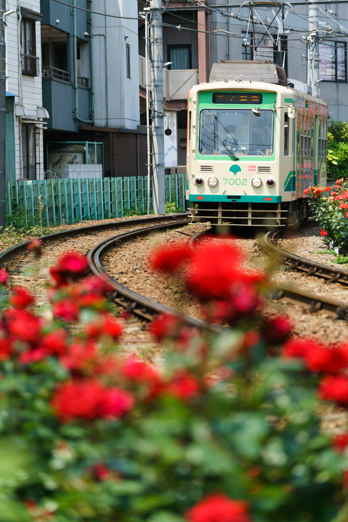 彩りの荒川沿線