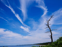 Sprite sky