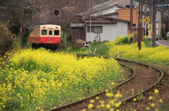 里見駅10:59発