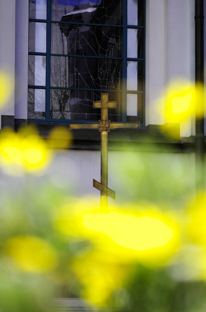 お茶の水、春20120407_003_DA70Ltd