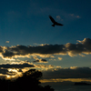 Fly high