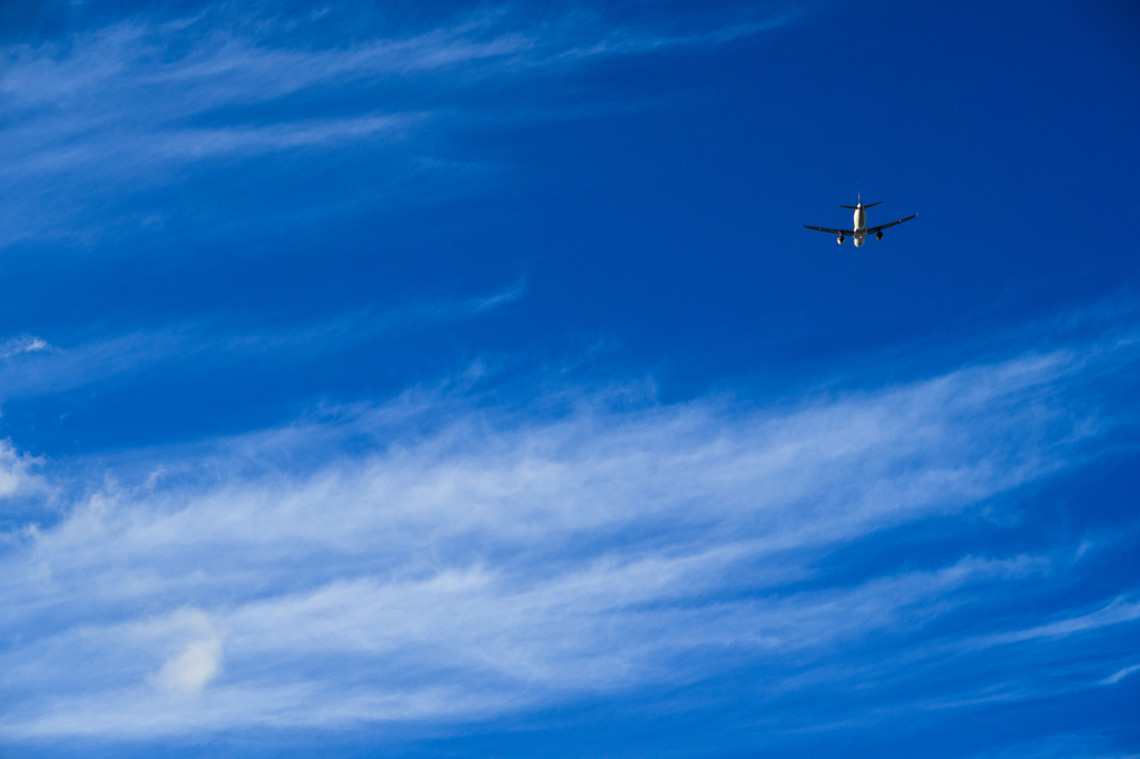 Fly to the SKY