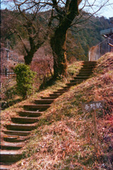 秩父街道吾野宿