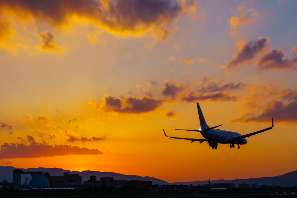737×Orange