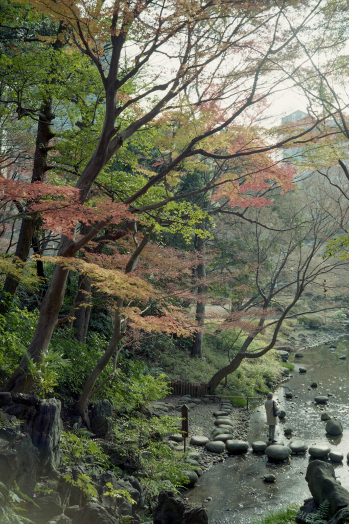 秋小石、川