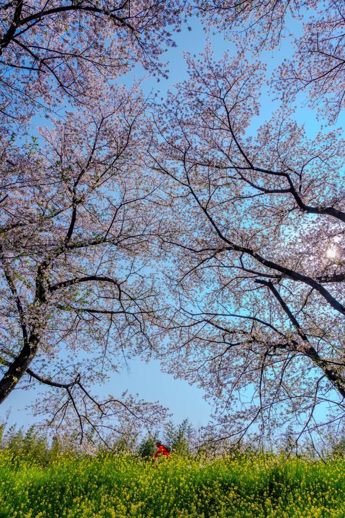 Spring road