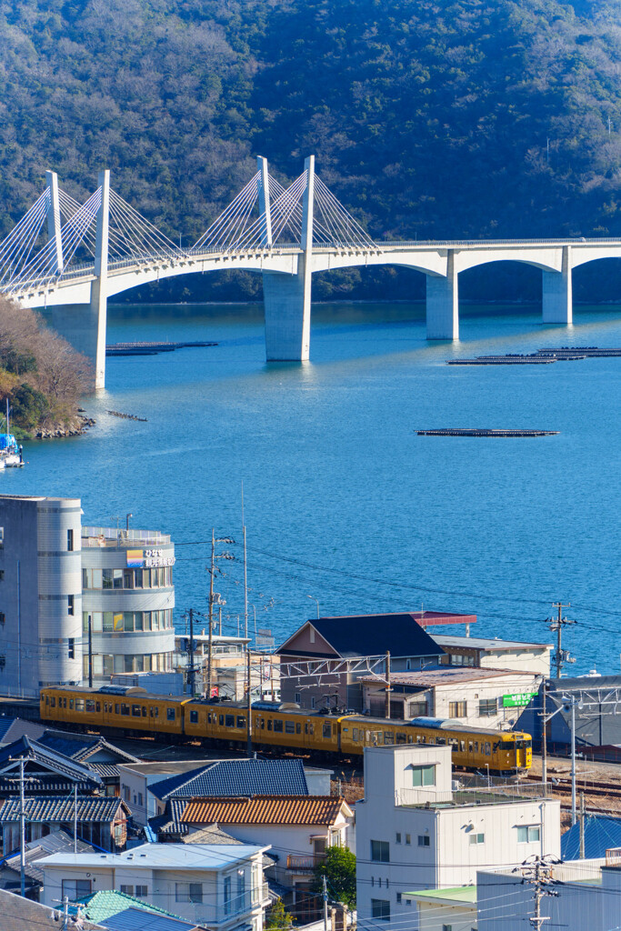 牡蠣筏の日生湾