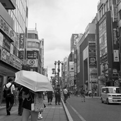 夏の日