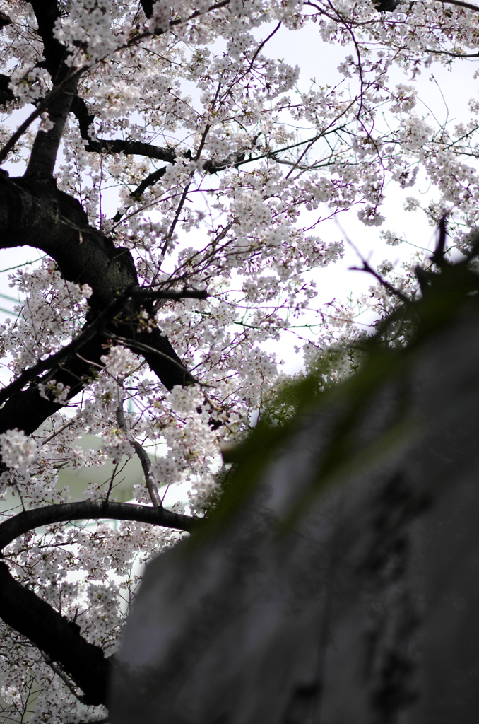 20120407_019_DA70Ltd