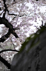 20120407_019_DA70Ltd