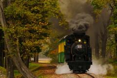 色付く森のおとぎ列車