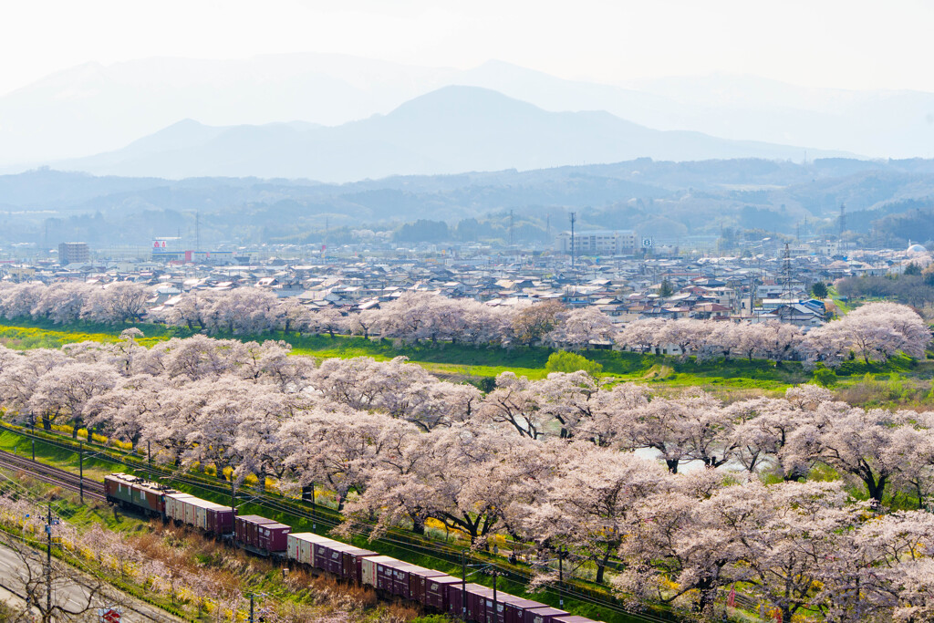 春を往く
