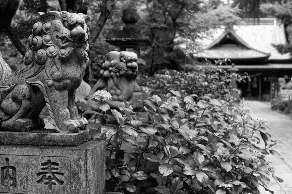 モノトーン