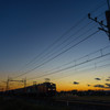 夕暮れ金太郎