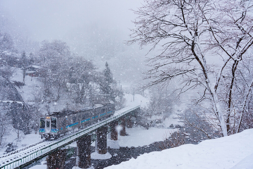 雪やこんこ