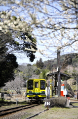 いすみ鉄道02