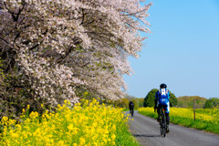 Spring road