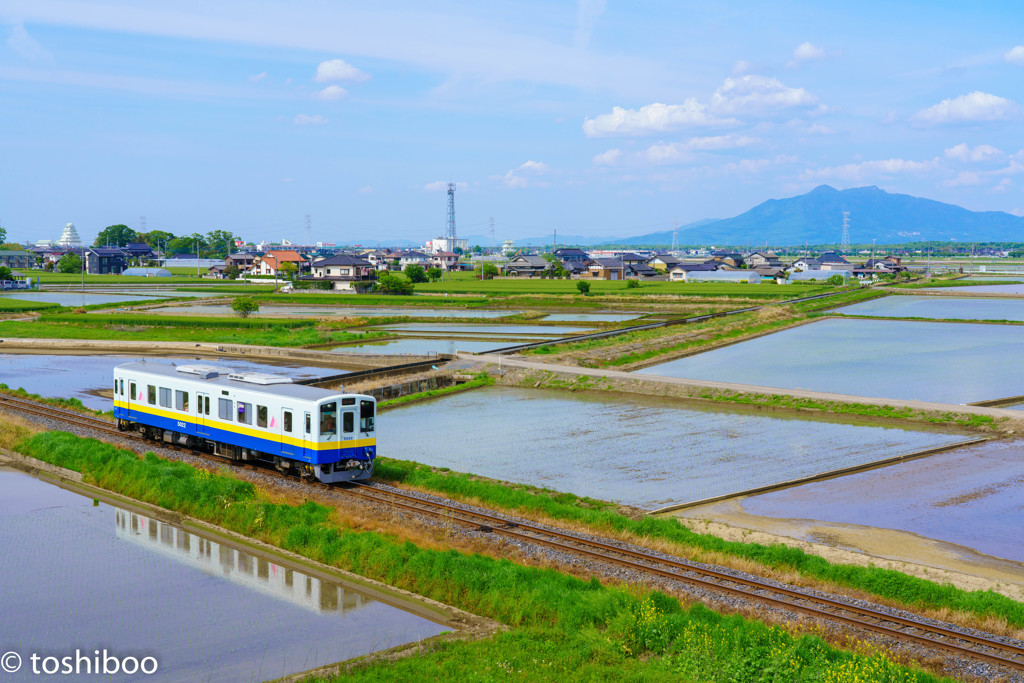 初夏の候
