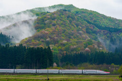 5月の雨